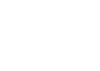 REBORN ART FESTIVAL